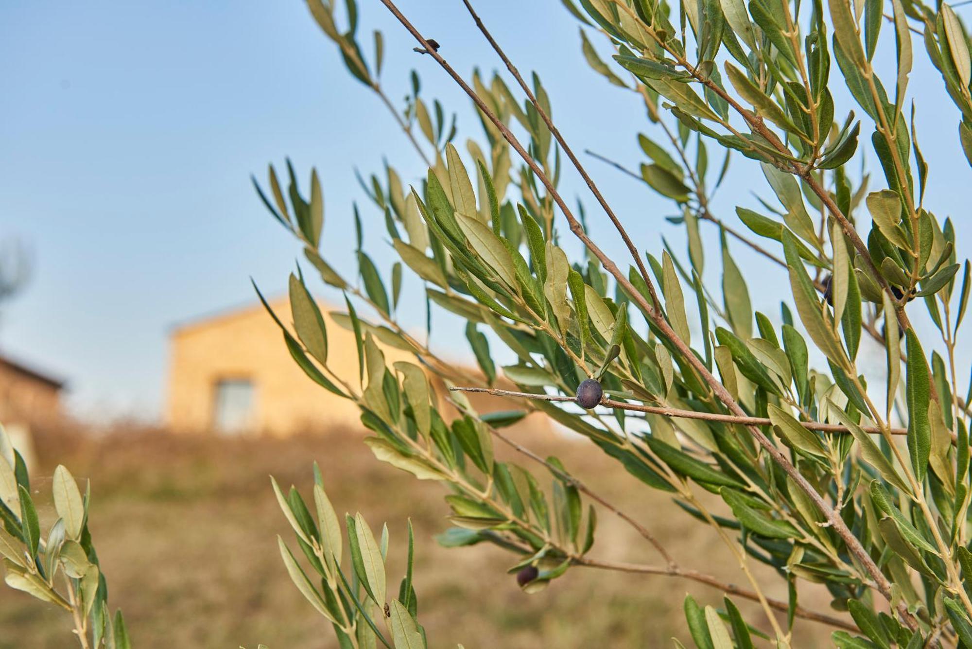 Agriturismo Prato Del Re Prignano sulla Secchia Exterior photo